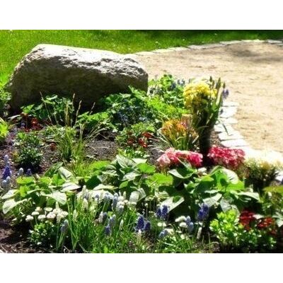 Bild vergr&ouml;&szlig;ern: Grabstätte stillgeborene Kinder