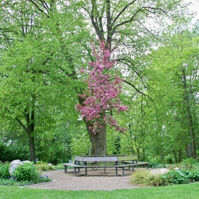 Bild vergr&ouml;&szlig;ern: Grabstätte stillgeborener Kinder