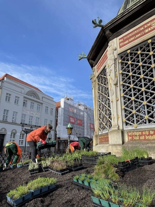 Bild vergr&ouml;&szlig;ern: Wasserkunst bepflanzt