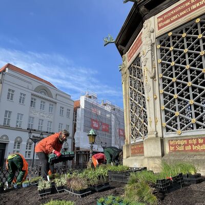 Bild vergr&ouml;&szlig;ern: Wasserkunst bepflanzt