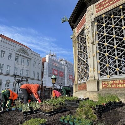 Bild vergr&ouml;&szlig;ern: Wasserkunst bepflanzt