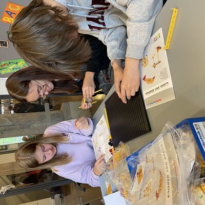 Bild vergr&ouml;&szlig;ern: TechnoTheke in der Stadtbibliothek Wismar
