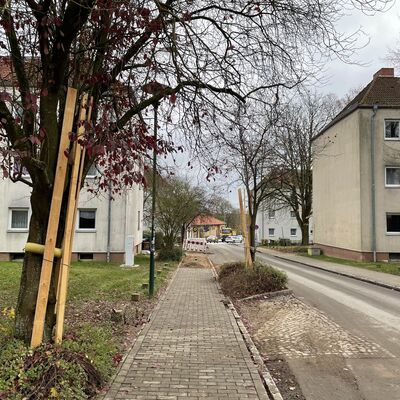 Bild vergr&ouml;&szlig;ern: Etkar-Andre-Strasse