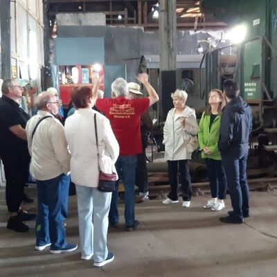 Bild vergr&ouml;&szlig;ern: Ringlok-Schuppen