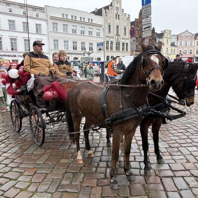 Bild vergr&ouml;&szlig;ern: Karneval