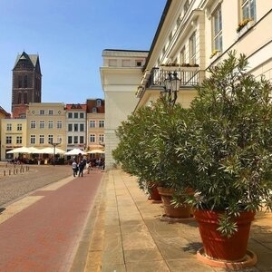 Bild vergr&ouml;&szlig;ern: Rathaus Wismar