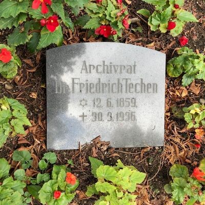Bild vergr&ouml;&szlig;ern: Friedhof Wismar, AF/ 260/261, Grabstätte Dr. Friedrich Techen