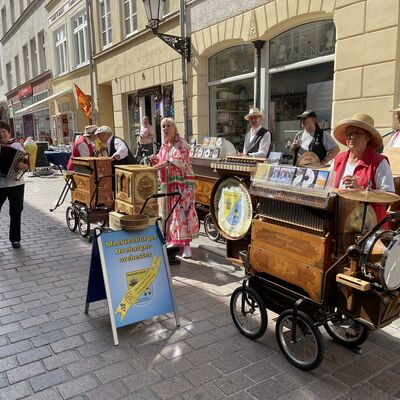 Bild vergr&ouml;&szlig;ern: Schwedenfest2022