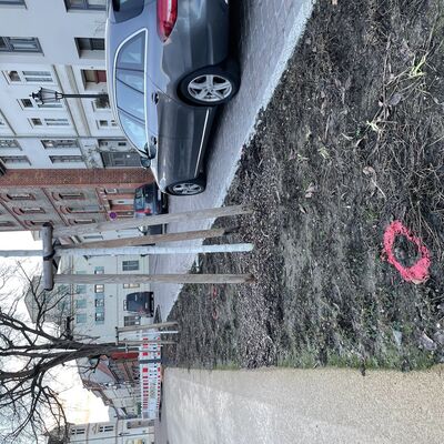 Bild vergr&ouml;&szlig;ern: Hundekot in der Claus-Jesup-Straße