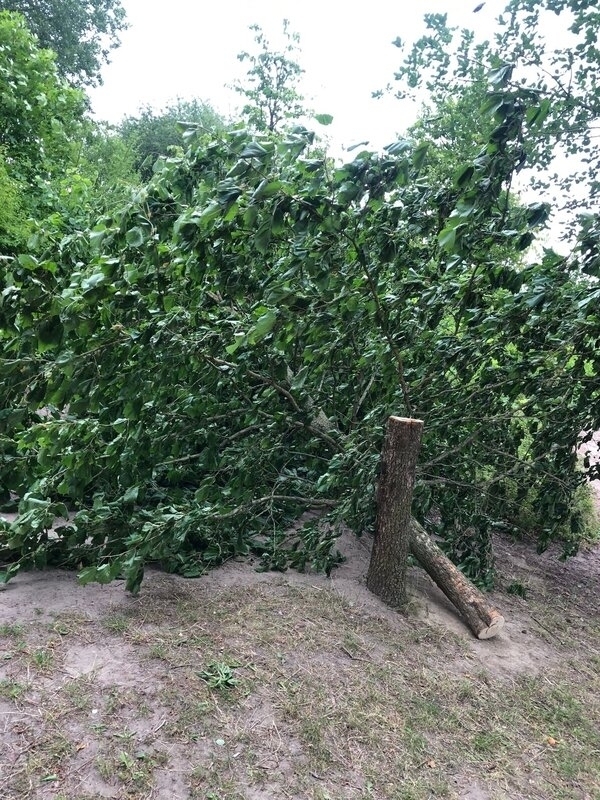 Bild vergr&ouml;&szlig;ern: Vandalismus in Wendorf