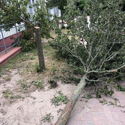 Bild vergr&ouml;&szlig;ern: Vandalismus in Wendorf