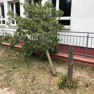 Bild vergr&ouml;&szlig;ern: Vandalismus in Wendorf