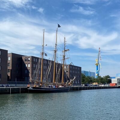 Bild vergr&ouml;&szlig;ern: Albatros_Schwedenfest2023