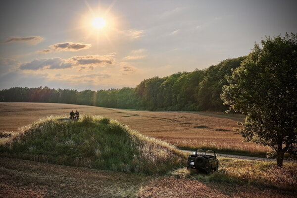 Sommerabend am Feldrand