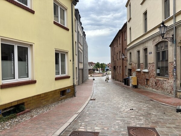 Bild vergr&ouml;&szlig;ern: Freigabe der nördlichen Schatterau und der Bergstraße