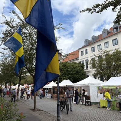 Bild vergr&ouml;&szlig;ern: Schwedenfest2026