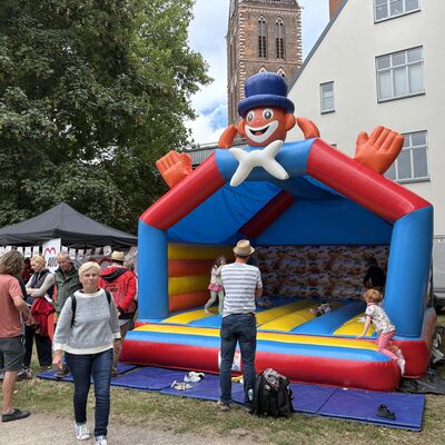 Bild vergr&ouml;&szlig;ern: Kinderschwedenfest vor dem Fürstenhof.