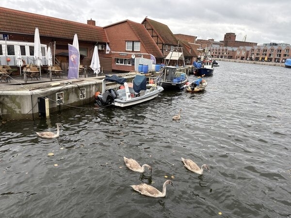 Bild vergr&ouml;&szlig;ern: Alter Hafen