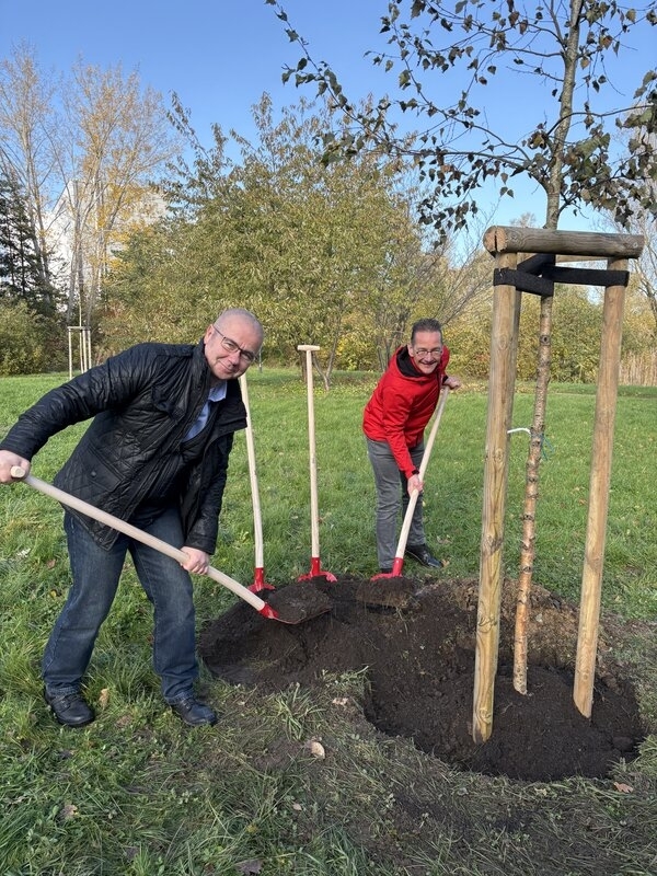 Bild vergr&ouml;&szlig;ern: Blutbirke