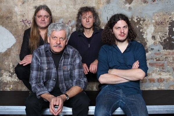 Bild vergr&ouml;&szlig;ern: Engerling