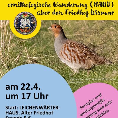 "Alle Vögel sind schon da" - ornithologische Führung