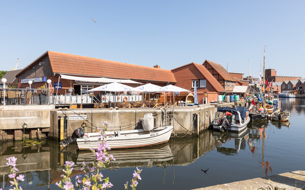 Bild vergr&ouml;&szlig;ern: Musik im Kutterkaten