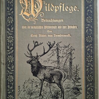 Bild vergr&ouml;&szlig;ern: Diese Bücher kommen zum Verkauf.